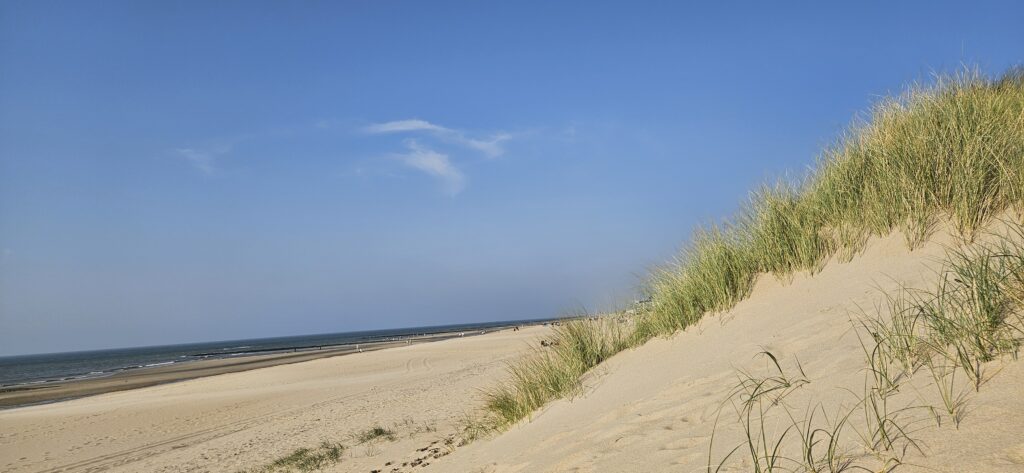 Dünenlandschaft in Julianadorp