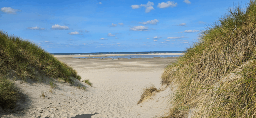 Zugang zum Strand in Texel