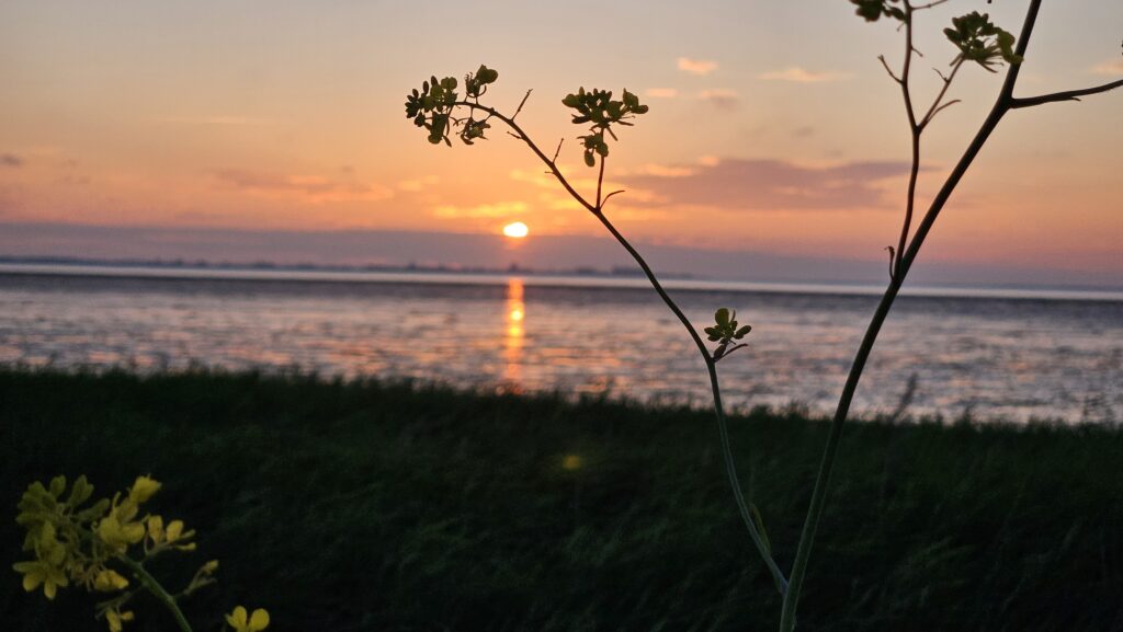 Romantischer Sonnenuntergang in Zeezicht